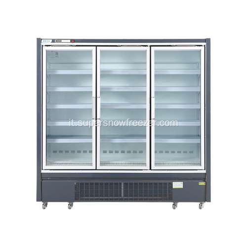 Congelatore verticale per alimenti surgelati in posizione verticale